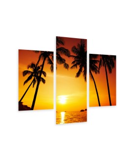 Multi-canvas 3x Palm sunset